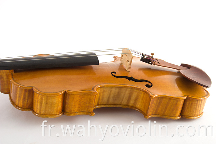 Jujube Parts Laciness Violin